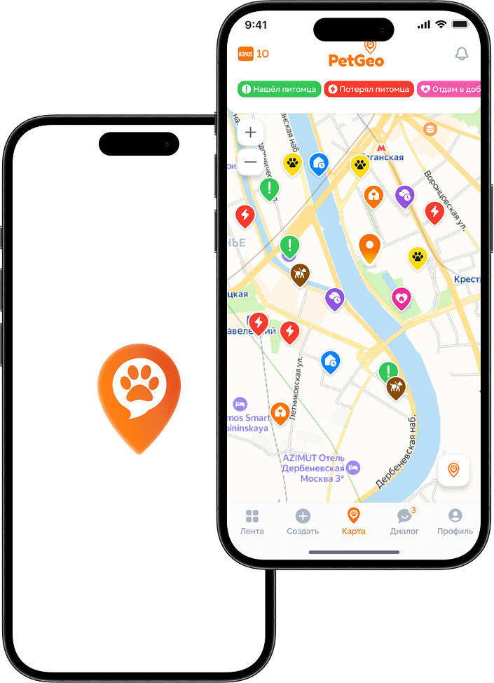 PetGeo — мобильное приложение